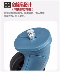 法國(guó)大使DELSEY拉桿箱 003245810