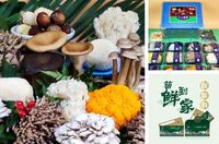 十二菌鮮 珍品鮮菌精裝禮盒 經典款
