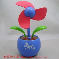 太陽(yáng)能蘋果花006