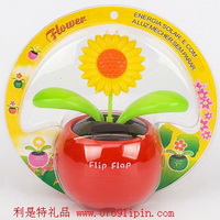 太陽(yáng)能蘋果花002